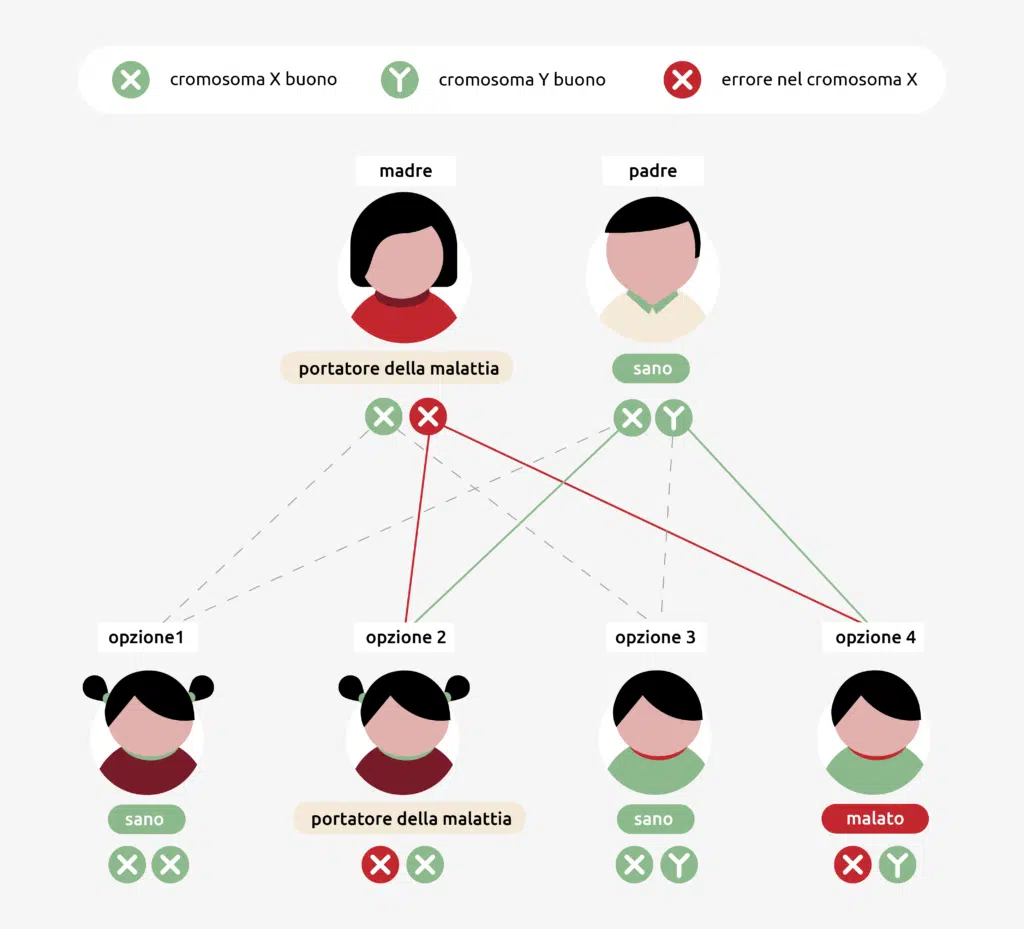 Infografica sull'ereditarietà della duchenne